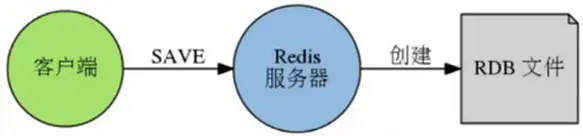 webp